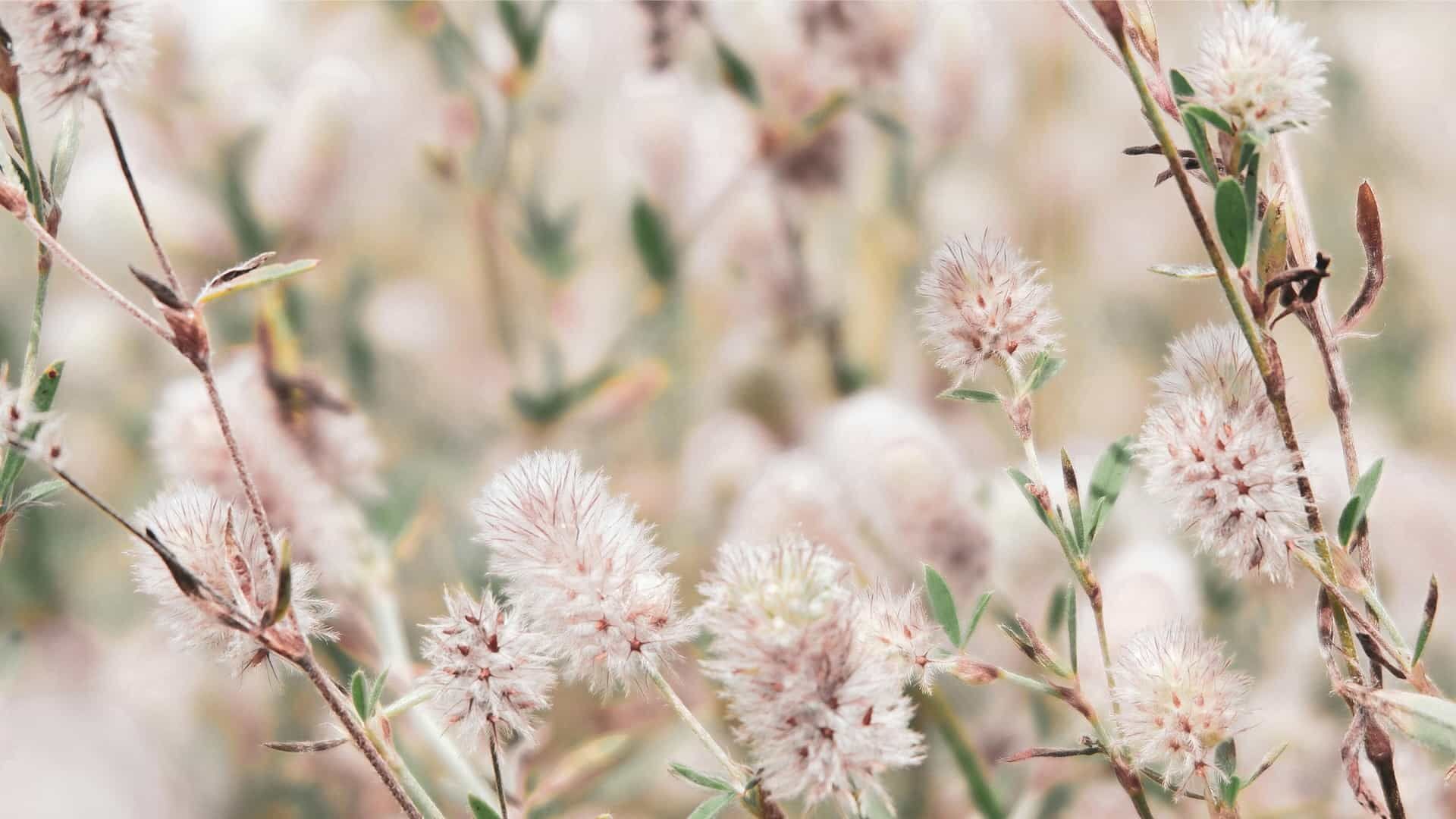 Consultez nos contact