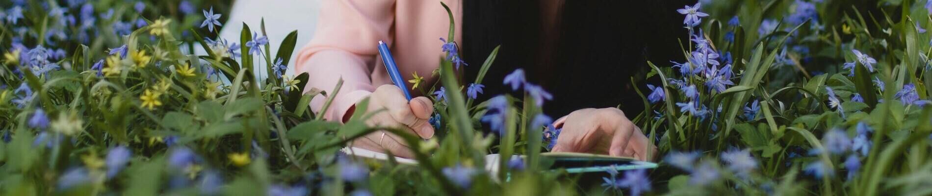 Consultez nos actualite