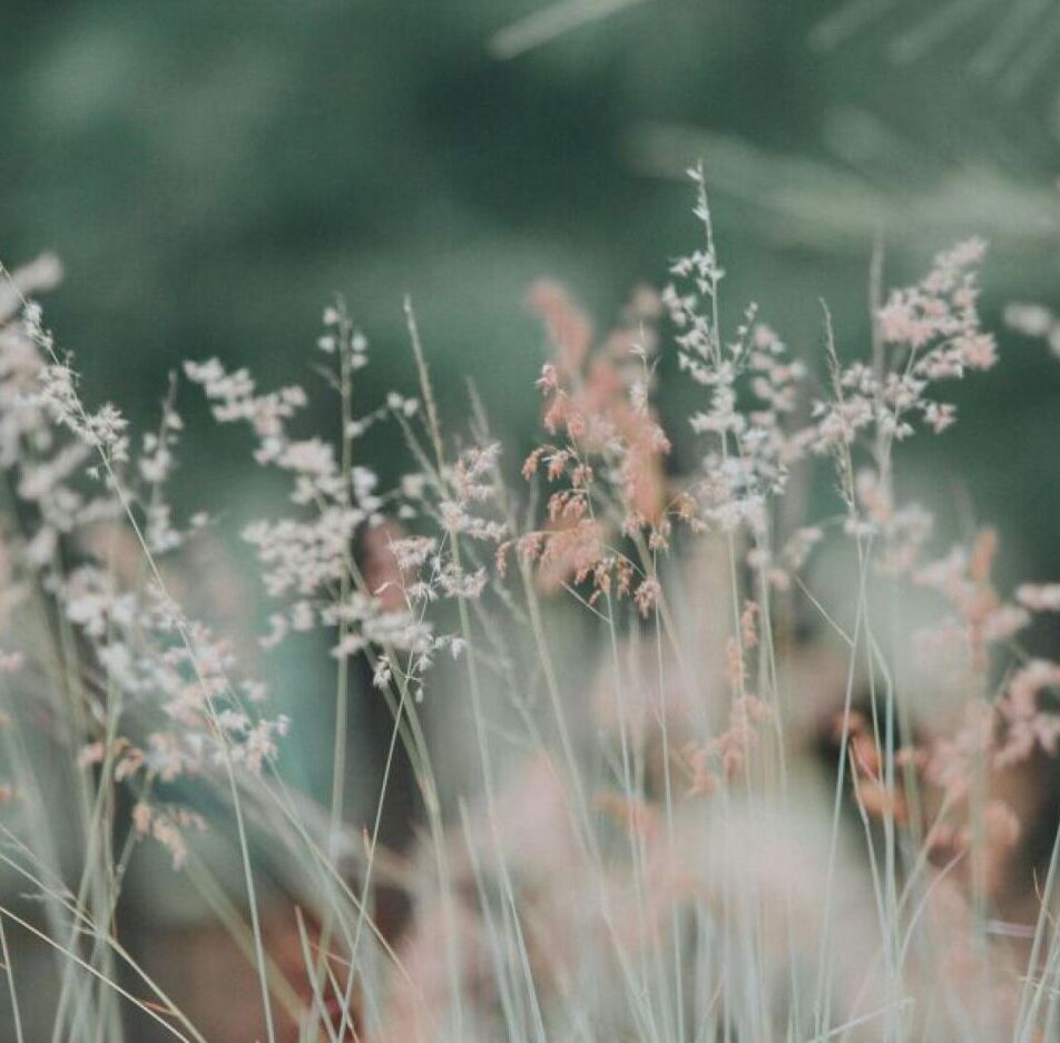 Le M�tier de Sophrologue et ses D�bouch�s