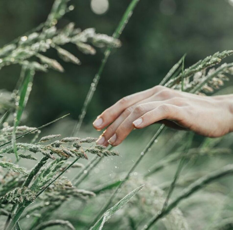 Programme de la formation Naturopathe