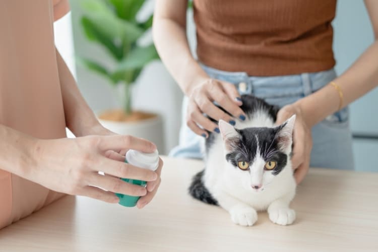 formation naturopathe animalier