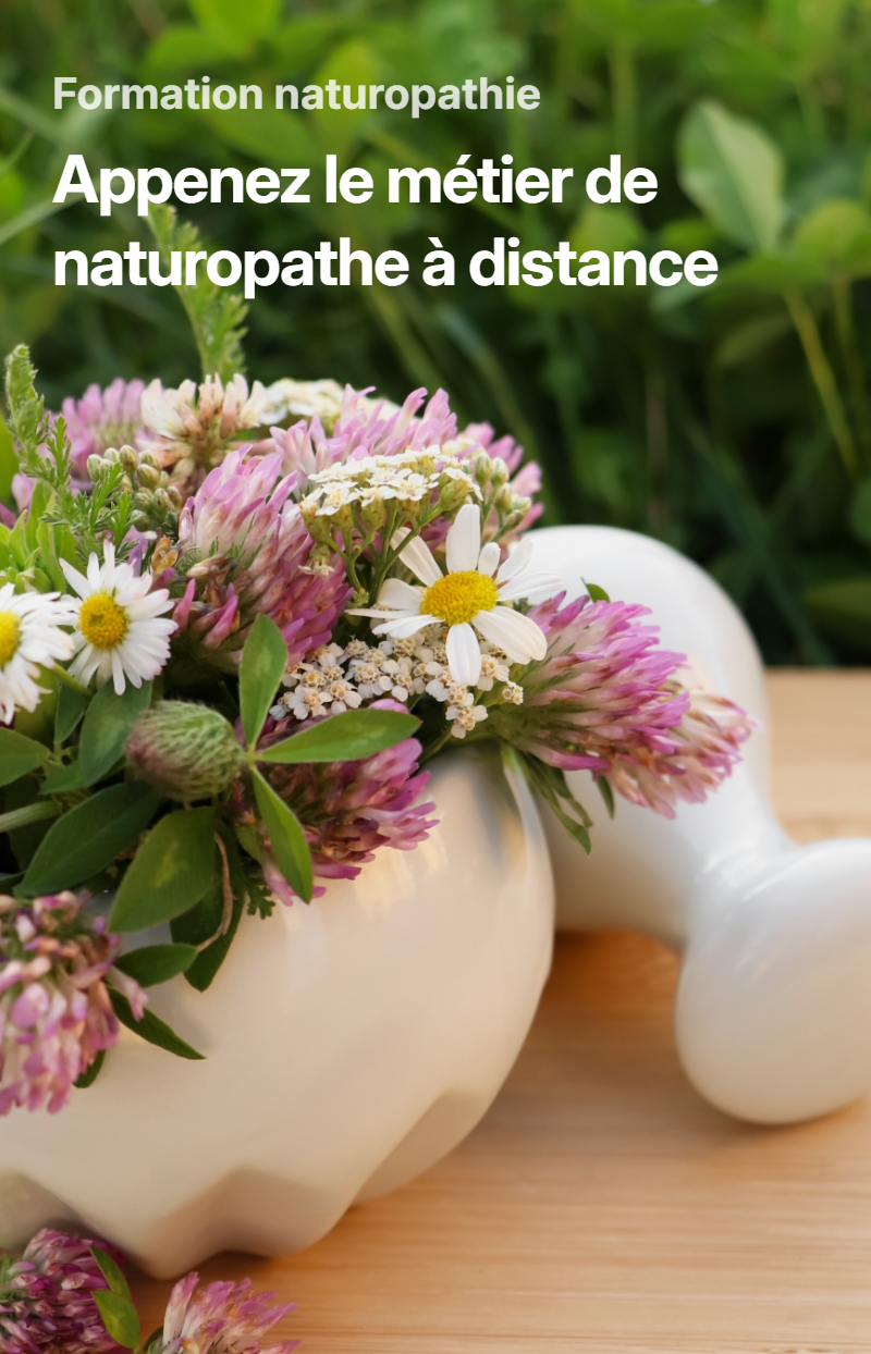 formation naturopathe  distance